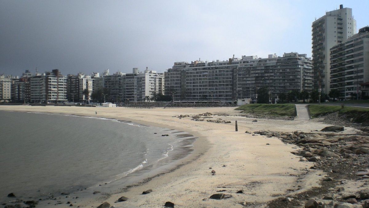 The rental price had an interannual variation of 5.12%