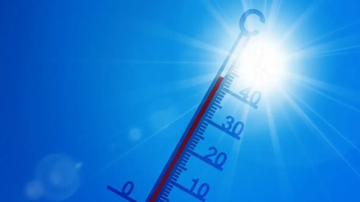 Global warming: January was the hottest month in history