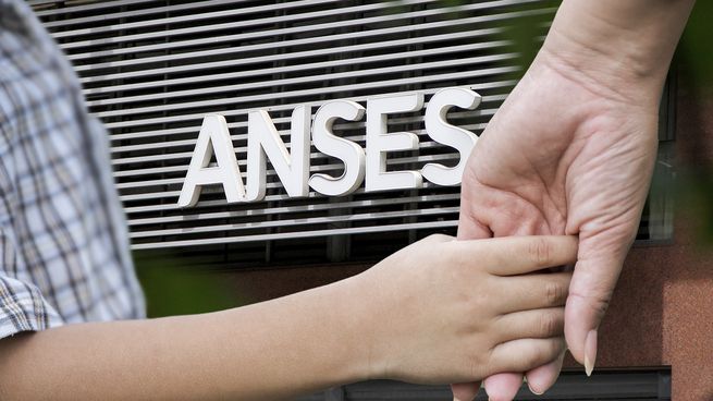 ANSES AUH.
