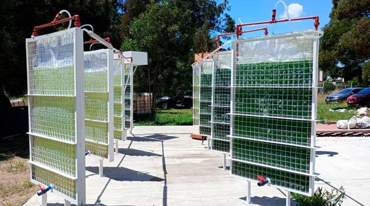 Plataforma de cultivo de microalgas del INBIOTEC-CONICET en Mar del Plata. Plataforma de cultivo de microalgas del INBIOTEC-CONICET en Mar del Plata.