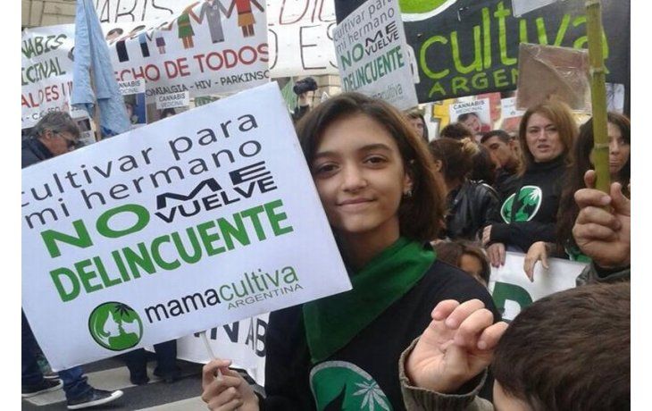 ámbito.com | Mamá Cultiva es una de las organizaciones sociales que esperan la sanción de una ley que habilite el uso del cannabis con fines medicinales y que permita el autocultivo para pacientes que requieran el tratamiento