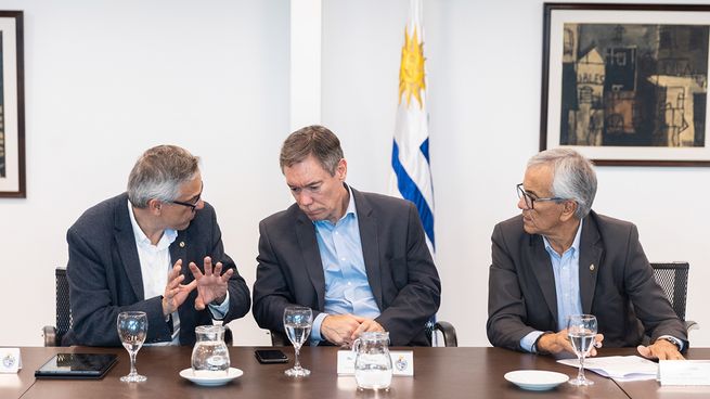 La Comisión Sectorial de Protección y Seguridad Social remitirá el documento final al Poder Ejecutivo antes del 30 de abril de 2026.