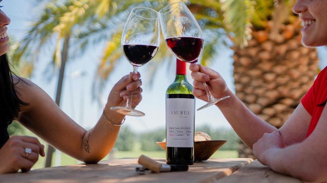 familia schroeder-66.jpg