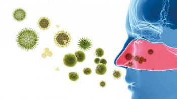 Entrelas reacciones alérgicas más graves se encuentra el asma bronquial, causada poruna inflamación de las vías respiratorias, y la anafilaxia, una reacciónalérgica grave que afecta a todo el organismo.&nbsp;
