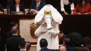 Colombia: Elefante Blanco llega al Senado tras convertirse en una voz contra la corrupción. Colombia: Elefante Blanco llega al Senado tras convertirse en una voz contra la corrupción.