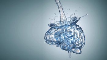 Cerebro y agua.&nbsp;
