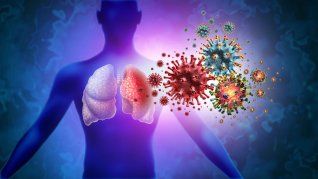 Aumentaron los casos de virus respiratorios en el AMBA. Aumentaron los casos de virus respiratorios en el AMBA.