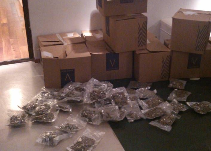 Allanan casa por presunta compra de bebé y hallan plantación de droga (foto 1)