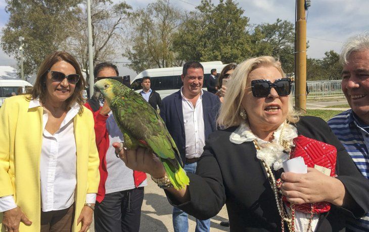Elisa Carrió grabó un mensaje que subió a su  cuenta de youtube y que difundió a través de sus redes sociales.