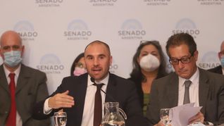 Guzmán, ante el Senado por el acuerdo con el FMI: La Argentina necesita evitar un shock desestabilizante