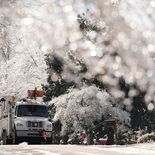 La ola de frío dejó temperaturas bajo cero en regiones poco preparadas para enfrentar condiciones invernales extremas. La ola de frío dejó temperaturas bajo cero en regiones poco preparadas para enfrentar condiciones invernales extremas.