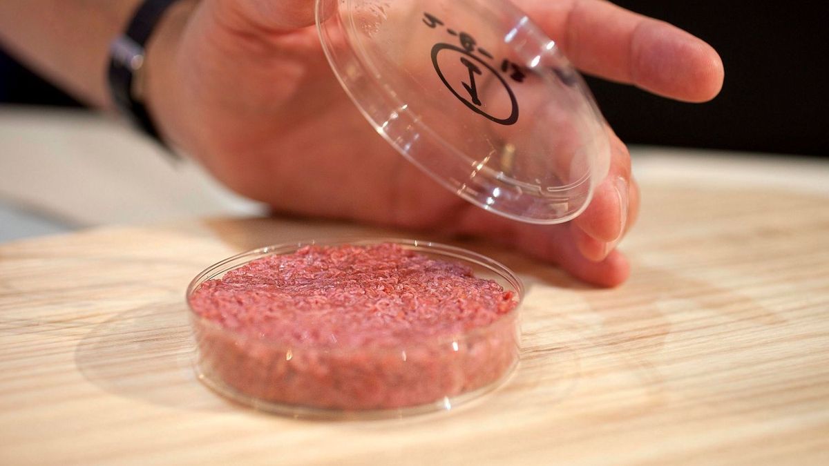 A bill seeks to ban synthetic meat and controversy broke out