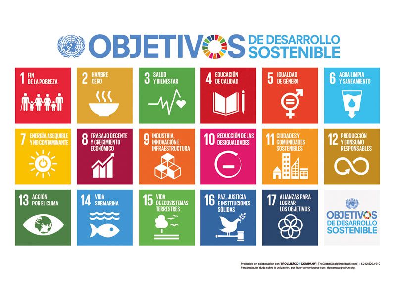 Desafíos de la ONU ¿podrán las empresas cumplir los objetivos de desarrollo sostenible? (foto 1)