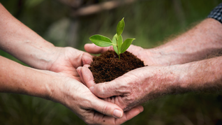 ámbito.com | Sostenibilidad 2.PNG