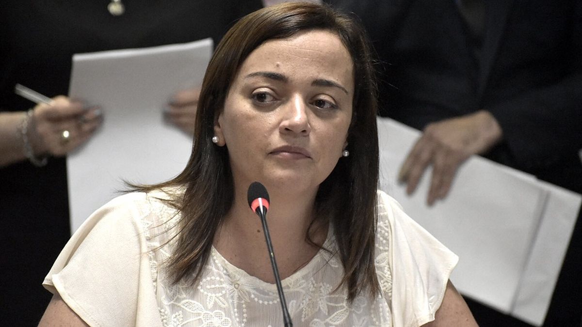 Cecilia Moreau, vicepresidenta del bloque del Frente de Todos (FdT). Cecilia Moreau, vicepresidenta del bloque del Frente de Todos (FdT).