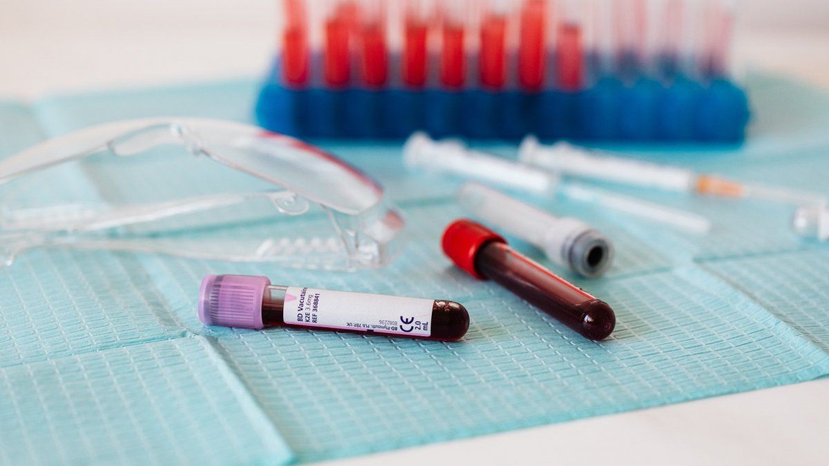 Día Nacional del Donante Voluntario: ¿Por qué se conmemora el 9 de noviembre en la Argentina?