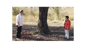 En esfuerzo solitario, Jean-Pierre Noher protagoniza «El Mal del Sauce», film del debutante Sebastián Sarquís que a cierta altura parece detenido, pero al final da unas vueltas de tuerca y se pone interesante.