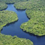 Brasil destinará 3.100 millones de reales (u$s617,5 millones) a fomentar la inversión ecológica en la región amazónica. Brasil destinará 3.100 millones de reales (u$s617,5 millones) a fomentar la inversión ecológica en la región amazónica.