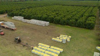 san miguel: la devaluacion la golpeo muy fuerte
