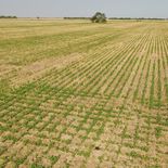 El mercado inmobiliario rural puede recibir una inyección de inversiones el próximo año. El mercado inmobiliario rural puede recibir una inyección de inversiones el próximo año.