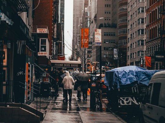 Nueva York sufre una invasión de ratones atribuible al boom de la construcción y al cambio climático.&nbsp;