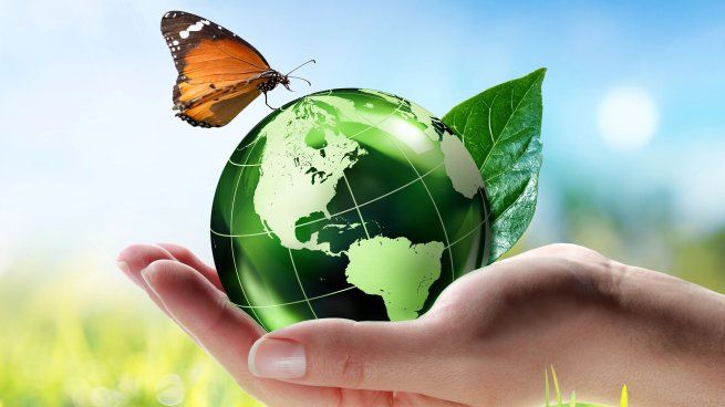 Desarrollo Sostenible