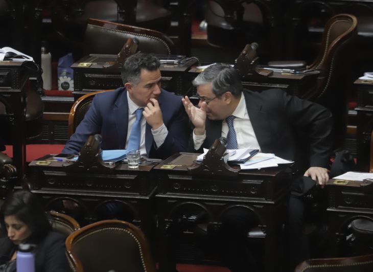 Gabriel Bornoroni y Germán Martínez, referentes del bloque libertario y peronista respectivamente, discuten en plena sesión. Gabriel Bornoroni y Germán Martínez, referentes del bloque libertario y peronista respectivamente, discuten en plena sesión.