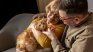 These are the incredible benefits of having pets at home. These are the incredible benefits of having pets at home.