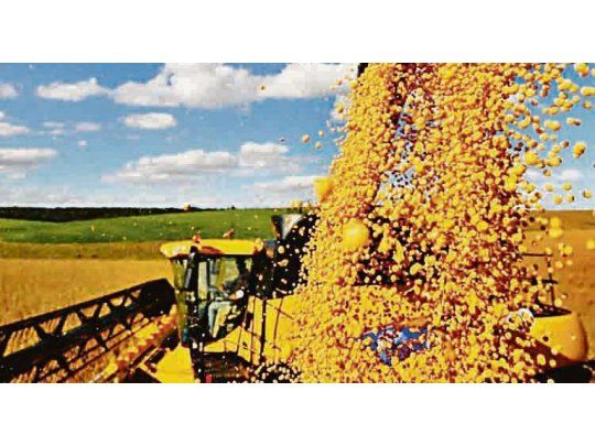 Supercosecha. El USDA estima que la cosecha de la oleaginosa en Brasil alcanzaría los 108 millones de toneladas y la trilla está muy avanzada.