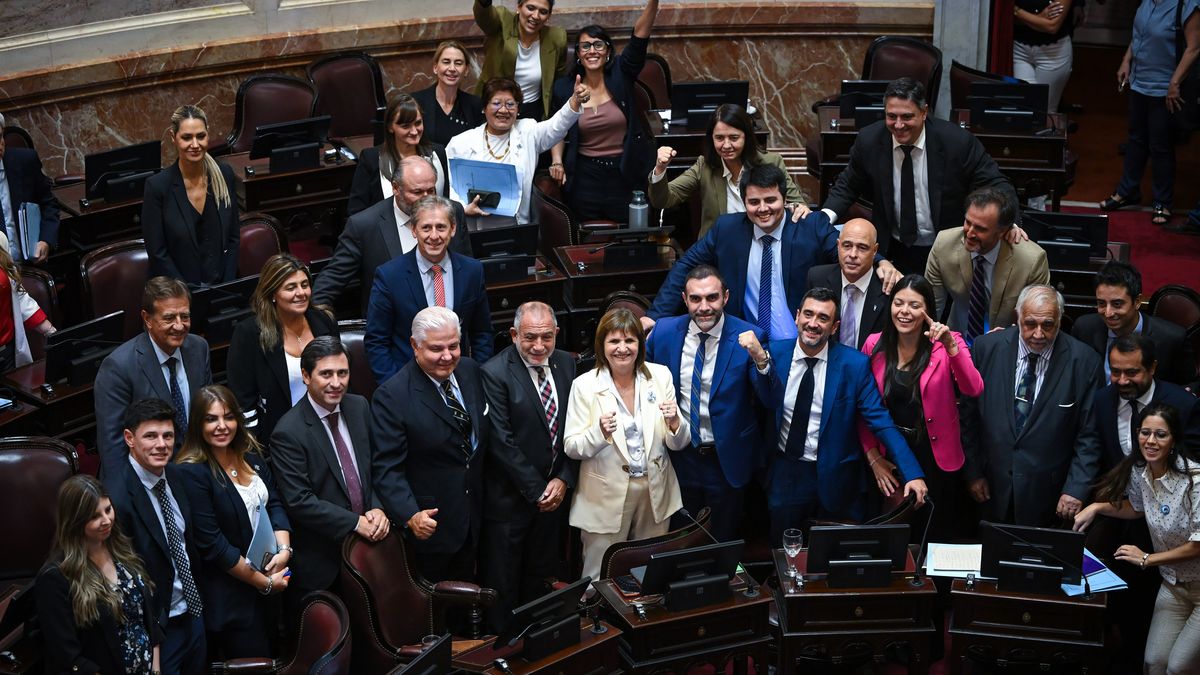 �Puede un senador renunciar a su dieta? Qu� dice la ley sobre el sueldo de los legisladores