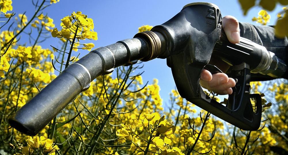 Biocombustible.  & Nbsp;