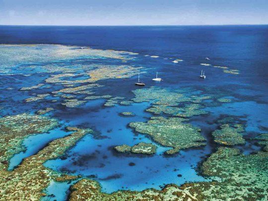El ecosistema australiano de 2.300 kilómetros de longitud había perdido la mitad de su coral desde 1995.