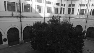 Ratas en la Escuela Primaria N° 18,&nbsp; Alejandro Carbó, en Almagro.&nbsp;