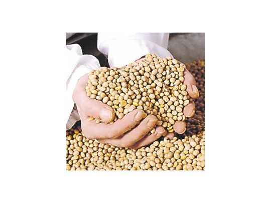 no todo es soja. La industria también solicita que se tenga en cuenta al resto de los cultivos que se producen en la Argentina.