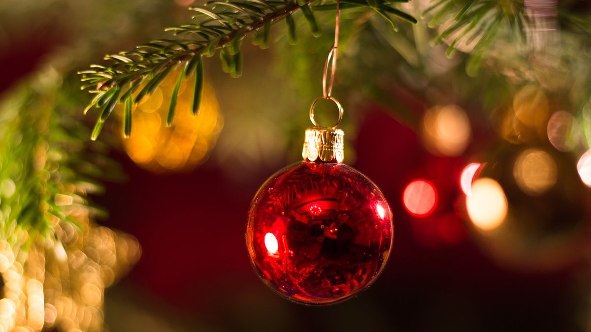 Cuánto sale armar el árbol de Navidad en los hogares uruguayos?