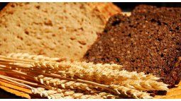 Save this bread recipe if you are celiac. Save this bread recipe if you are celiac.
