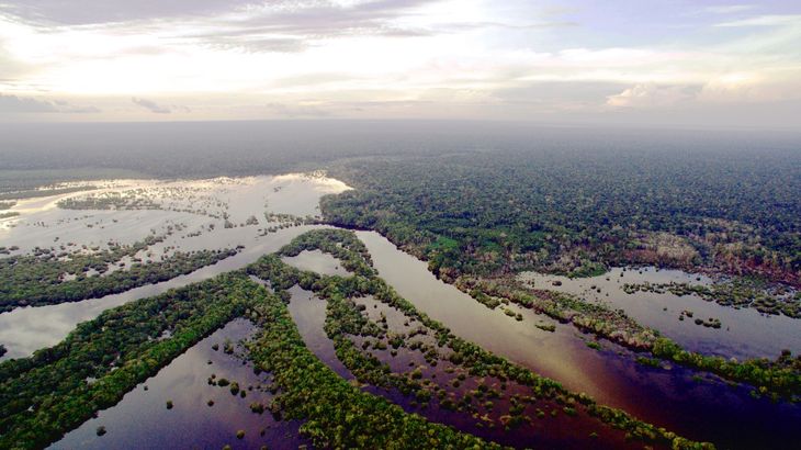 En 2024, solo un tercio de las cuencas fluviales del planeta registraron valores normales, según la OMM.  