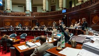 El Senado aprobó definitivamente la Rendición de Cuentas.