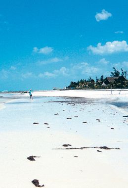 La playa más secreta del caribe mexicano (foto 1)