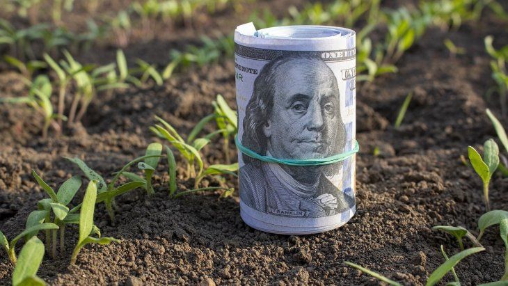 ¿Los dólares del agro alcanzarán para el plan económico del Gobierno?