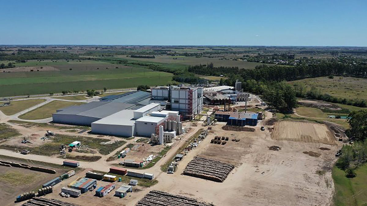 Conaprole resumed exports of milk powder to Brazil after conflict over restrictions