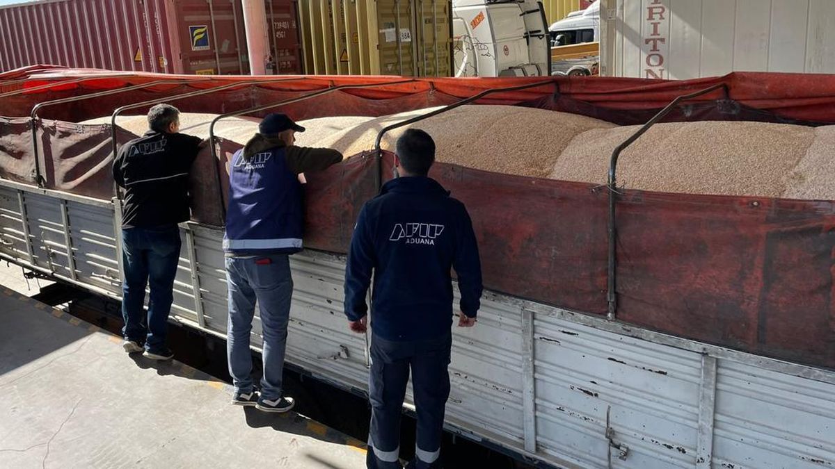 Secuestran en Mendoza tres camiones de un exportador apócrifo con 84.420 kilos de maíz