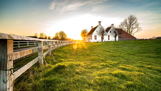 El caso de una familia agrícolla que rechaza oferta millonaria. El caso de una familia agrícolla que rechaza oferta millonaria.