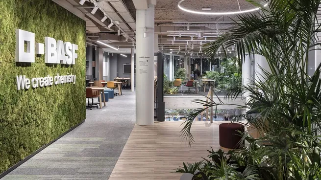 BASF aclaró que no habrá despidos en Uruguay en el corto plazo.