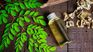 With the rise of a healthier and natural diet, the moringa becomes an ally of your daily routine. With the rise of a healthier and natural diet, the moringa becomes an ally of your daily routine.