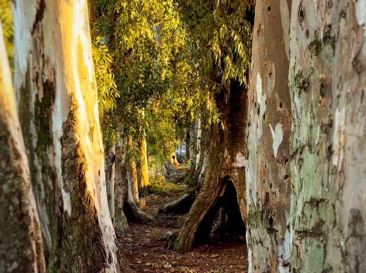 Ofrece paisajes abiertos y rincones ideales para disfrutar de una jornada al aire libre.