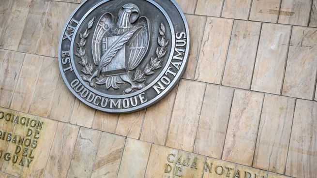 Después de un superávit en 2024, el resultado de la Caja Notarial se deterioró por la caída en inversiones forestales y el crecimiento de los pasivos.&nbsp;