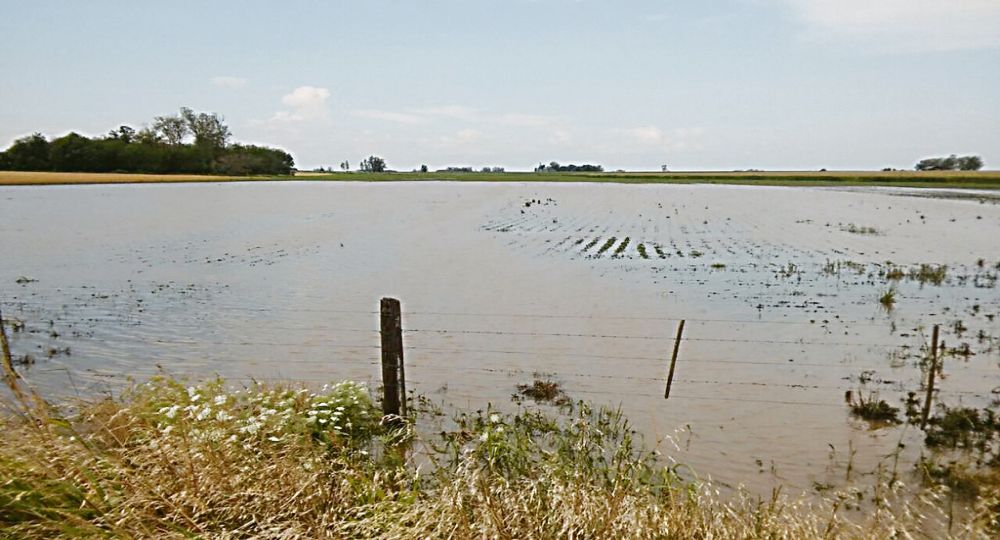 Las inundaciones por el fuerte impacto de la lluvia, tuvieron lugar en distintos distritos de la PBA. Las inundaciones por el fuerte impacto de la lluvia, tuvieron lugar en distintos distritos de la PBA.