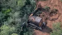 Brasil es el país de América Latina donde más ha crecido la desforestación.