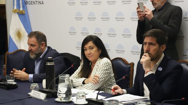 Autoridades de la Comisión de Legislación Penal de la Cámara de Diputados.
